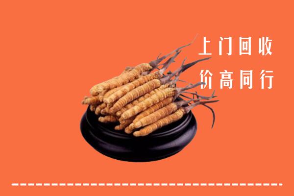 高价求购：沂源县回收散虫草
