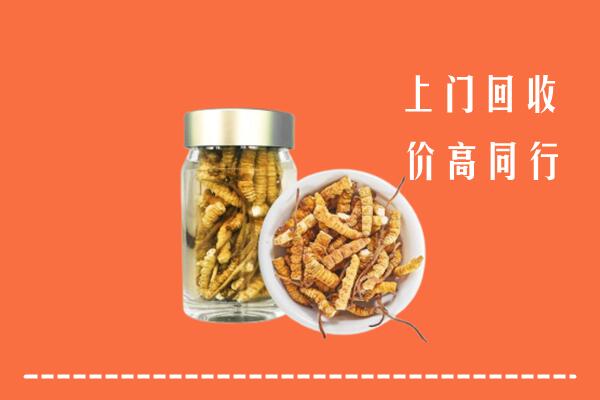 沂源县回收冬虫夏草
